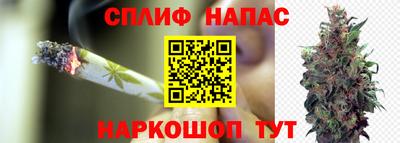 гидропоника Бугуруслан