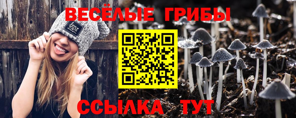 Псилоцибиновые грибы Cubensis Новокузнецк