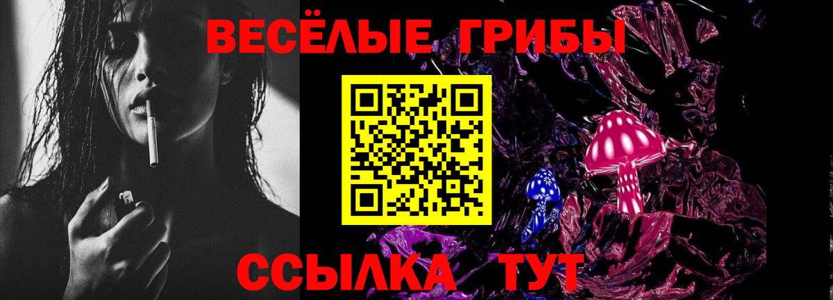 где можно купить наркотик  Вход с VPN  Новокузнецк  Галлюциногенные грибы прущие грибы 